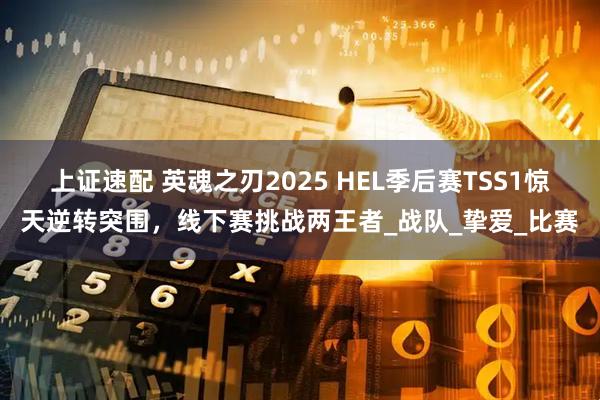 上证速配 英魂之刃2025 HEL季后赛TSS1惊天逆转突围，线下赛挑战两王者_战队_挚爱_比赛